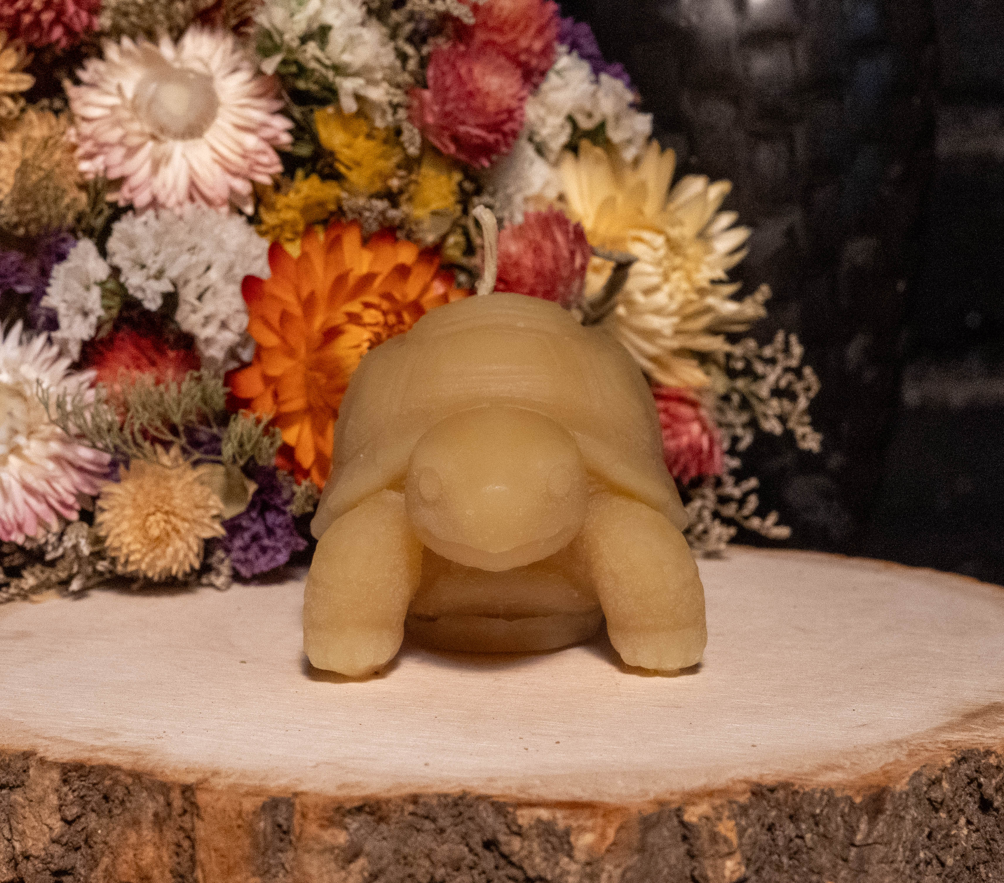 Tortoise Beeswax Candle: Hand-Poured Animal Sculpture, Reptile Lover Gift