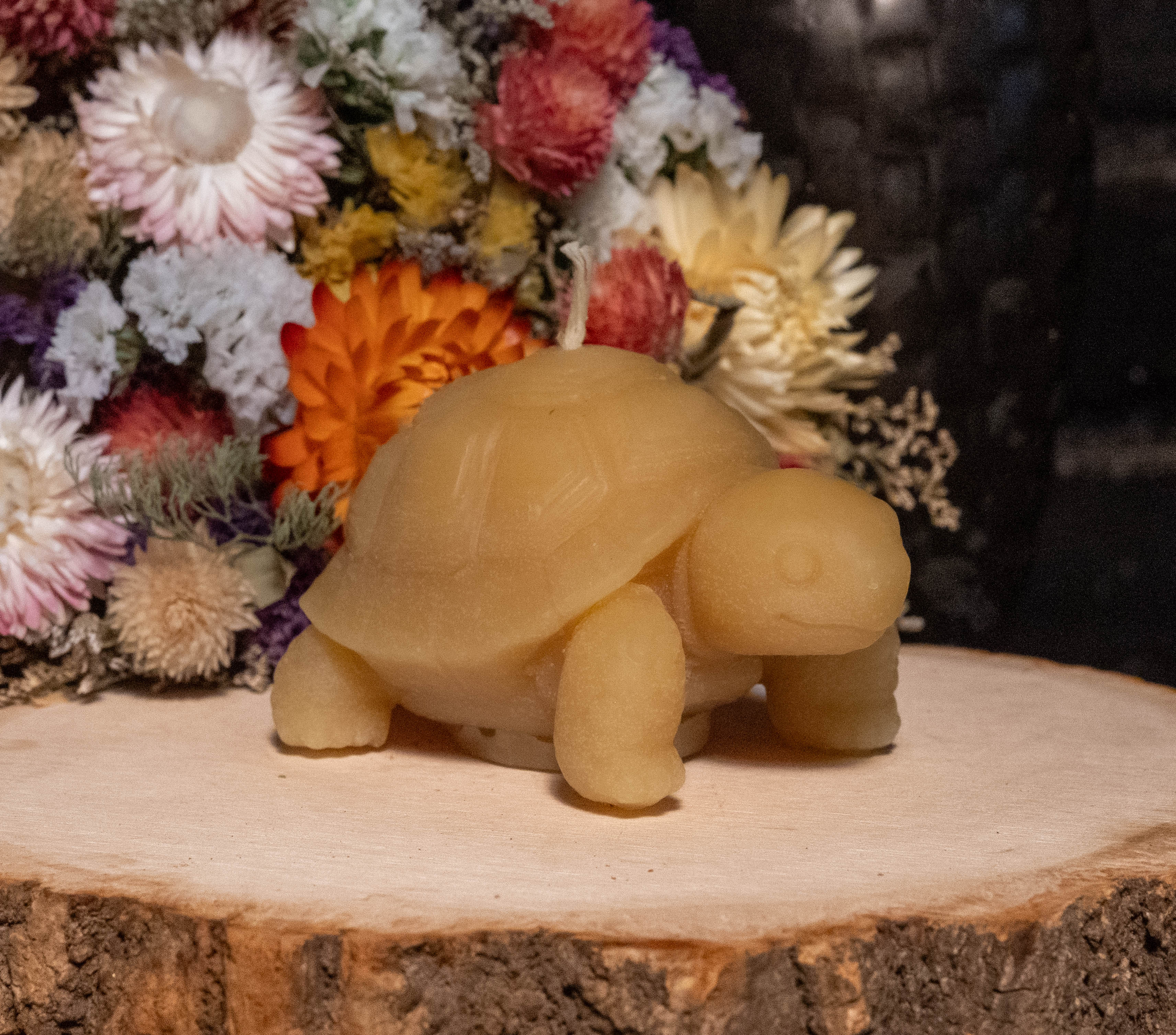 Tortoise Beeswax Candle: Hand-Poured Animal Sculpture, Reptile Lover Gift